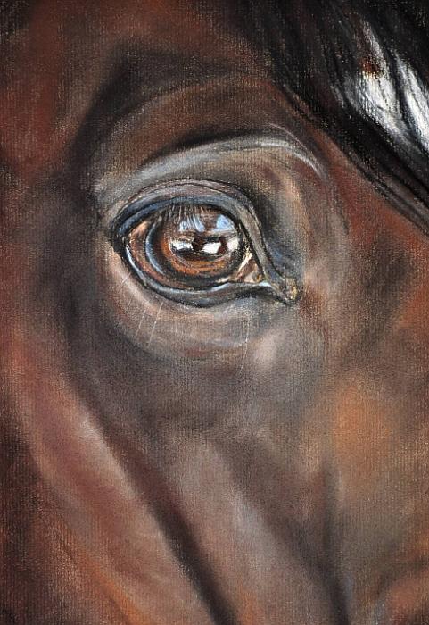 cheval detail 5.jpg - Pastel 40x30